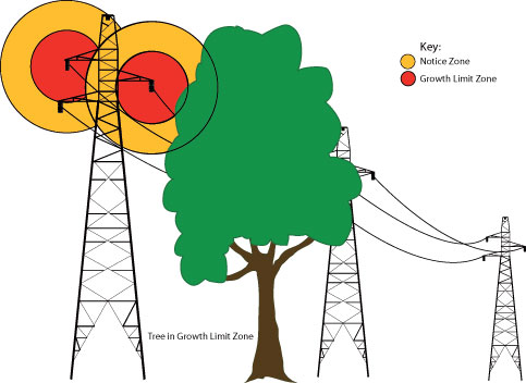 Powerlines and tree growth limits
